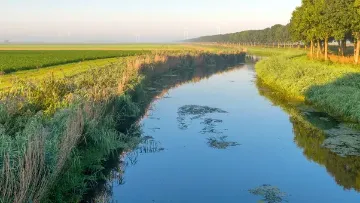 Préserver les milieux aquatiques